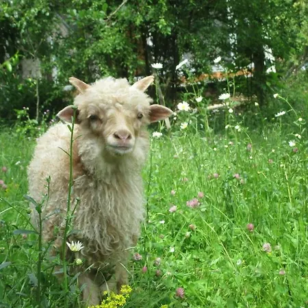 One-bedroom Holiday home