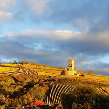 One-bedroom * Katzenthal